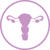 fisioterapia del suelo pelvico fisioterapia de la mujer fisioterapia del suelo pelvico fisioterapia de la mujer