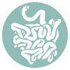 osteopatia visceral